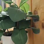 Chez Céline Sous La Neige - Vue Montagne&ambiance *