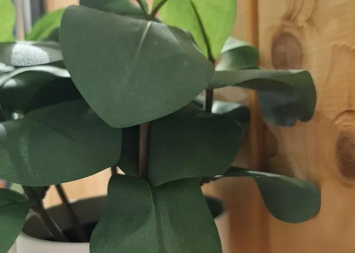 Chez Celine Sous La Neige - Vue Montagne & Ambiance *